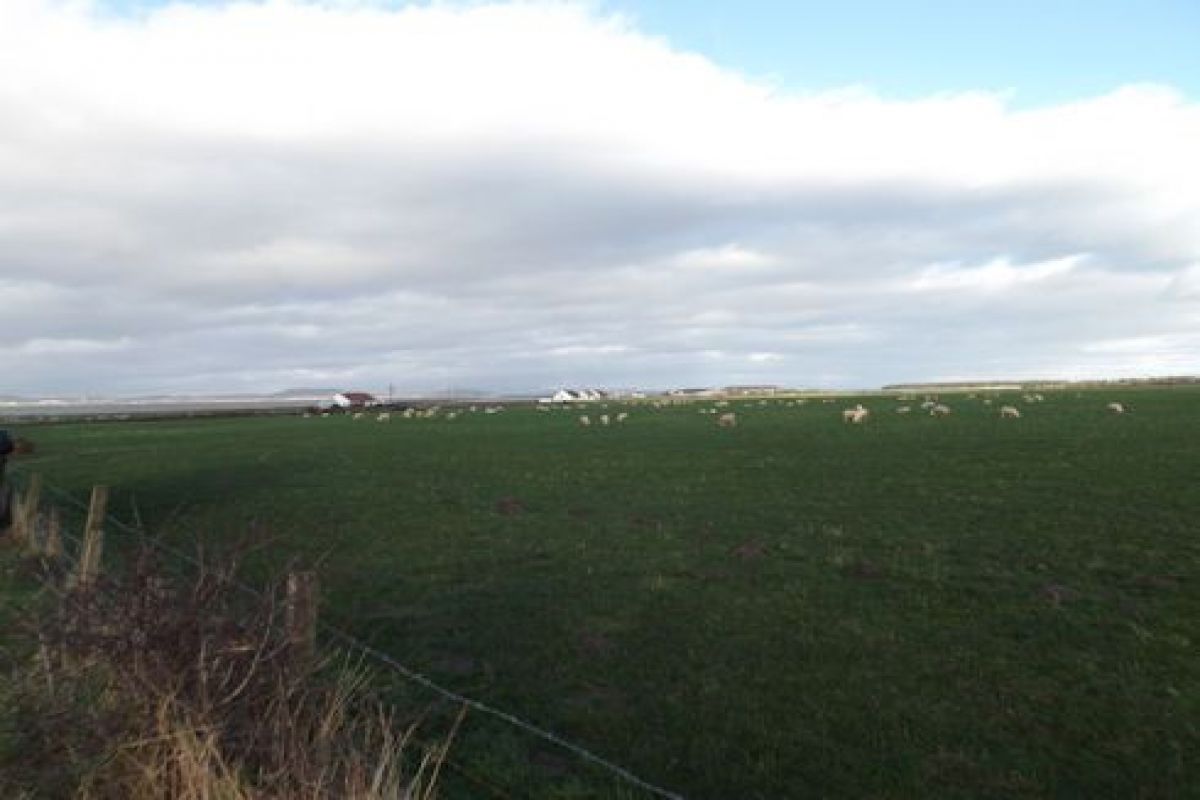 Kintyre Property Co. SALE Schedule Ref 1255